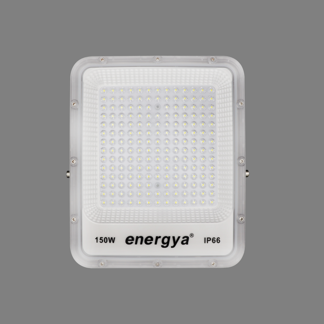 LED Floodlight 2